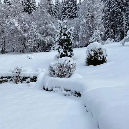 Alpine * Les Gets